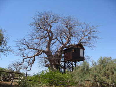 Treehouse at Les Collines de Niassam in Senegal