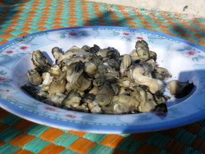 Oysters in Senegal