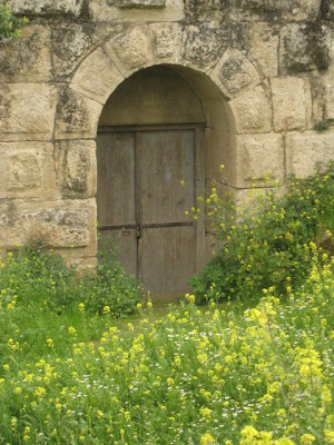 Yellow flowers in front of a door in Jerash Jordan