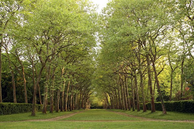 Allee at Chateau St Julien l'Ars near Poitiers France