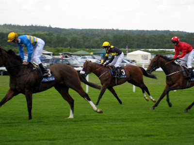 Horse race at Royal Ascot