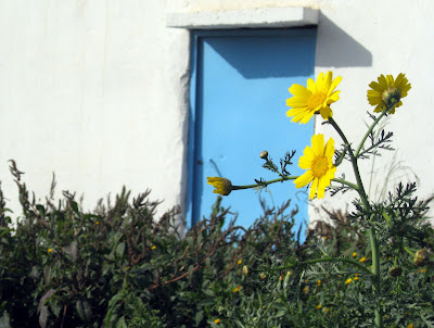 Blue and white building with a yellow flower in Carthage