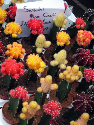 Columbia Road Flower Market