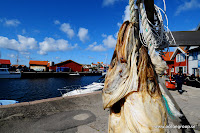 Torkad långa i hamnen Mollösund