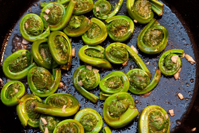 [sauteed-fiddleheads[7].jpg]