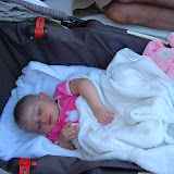 21 weeks old