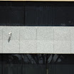 DSC00134.JPG