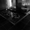 DSC00310.JPG