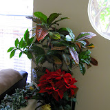Christmas 2009