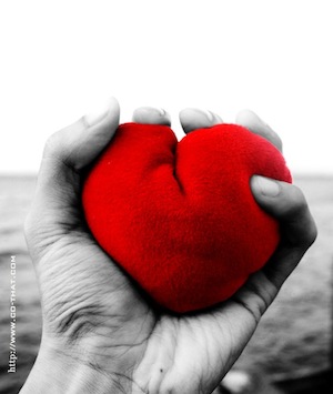 My Heart My Heart