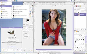 vine linux 05 graficos vine linux 05 graficos