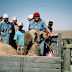 imm125.jpg, August 2004 - Kazakhstan