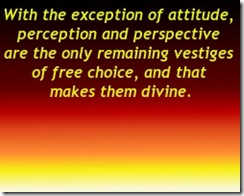 perspective perspective