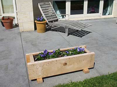 DSCF0907.jpg