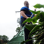 Days of Caring Photos