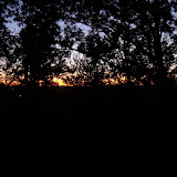 random sunset
