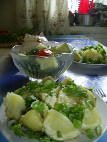 [0162.jpg]