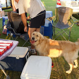 SAM_0004.JPG