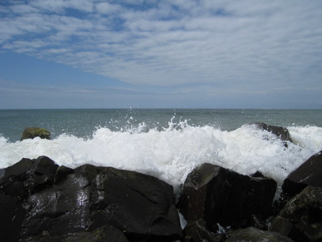 [IMG_2089.jpg]