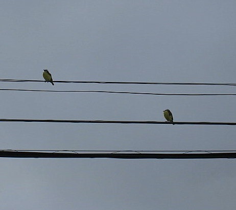 [IMG_23203.jpg]