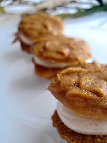 [pumpkinbites1[5].jpg]