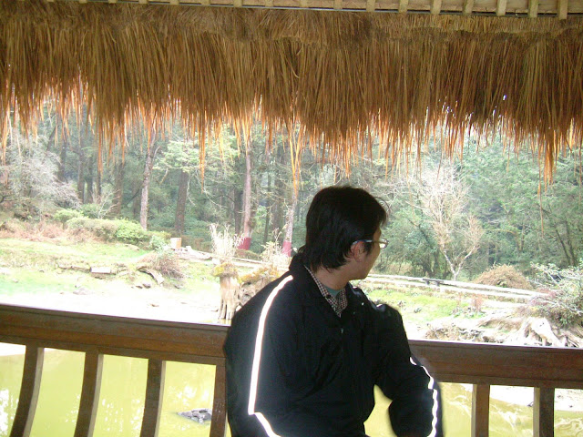 My Photo
