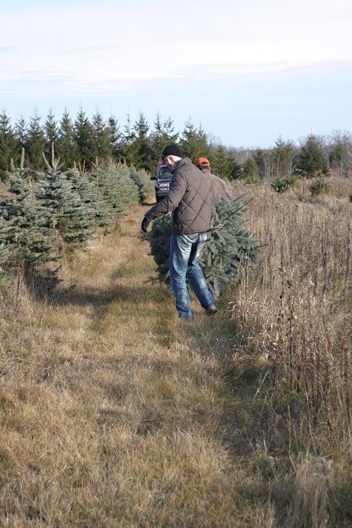 [20091127_0806[3].jpg]