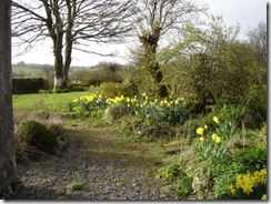 Tests Mar 09 004