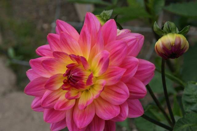[20100821_29057[6].jpg]