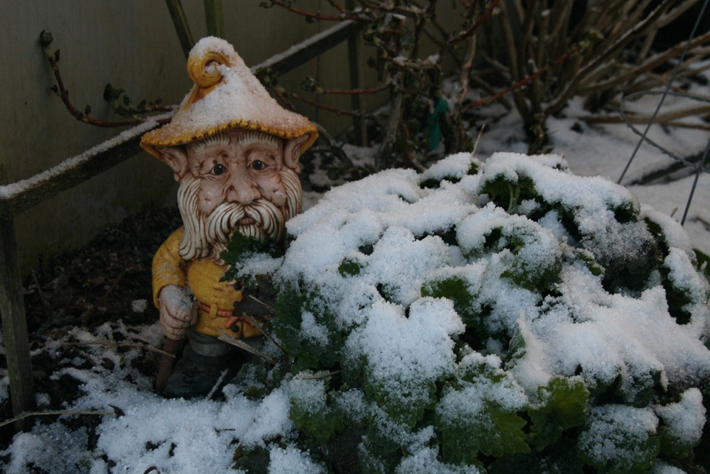 [20110226_39617[5].jpg]