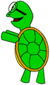 turtles