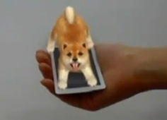Nintendos Cats - AR Game Nintendos Cats - AR Game