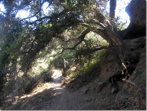 descending Dripping Cave 1