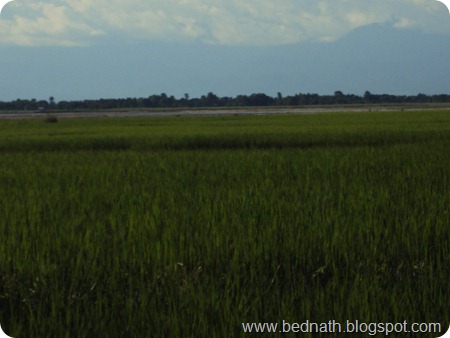 www.bednath.blogspot.com www.bednath.blogspot.com