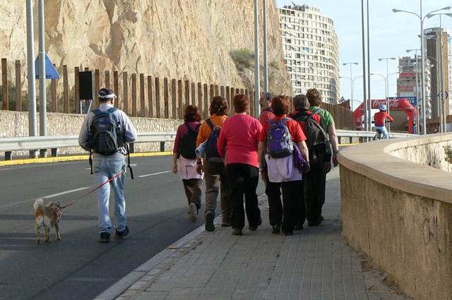 [P1280537[2].jpg]