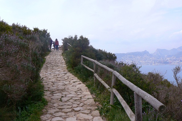 [P1150877[3].jpg]