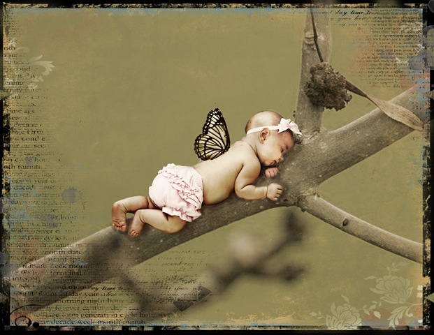 [Brooklynbutterfly2[3].jpg]