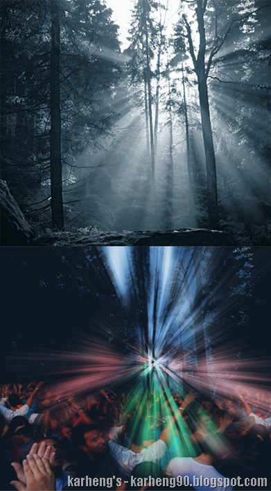 forestclub