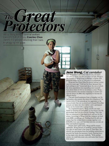 the great protectors