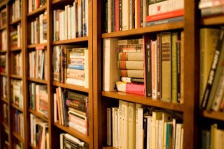 [BookshelfWB6.jpg]