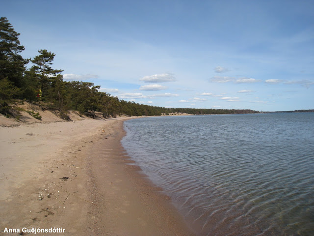 Str&ouml;ndin/Fjaran