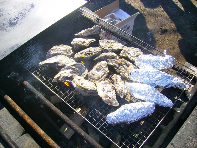 http://lh3.ggpht.com/_EOFarVdN9qU/SYVhUTfwjhI/AAAAAAAACW4/FgCF_wos4b4/s800/P1310445.jpg