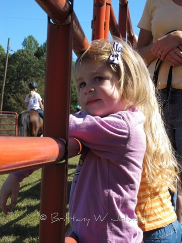 [Horse Show Ava 1[7].jpg]