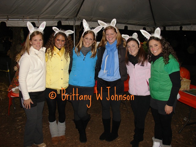 [Bunnies[6].jpg]