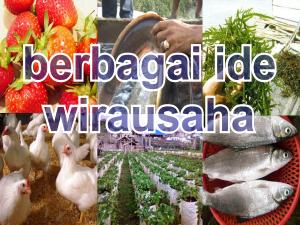 my image