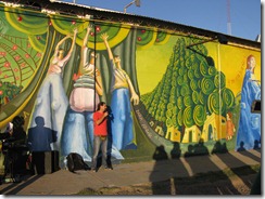IMG_8685 IMG_8685