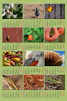 Mis Calendarios 2010 para Descargar como Regalo para ti