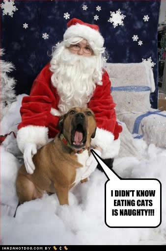 [funny-dog-pictures-eating-naughty2.jpg]