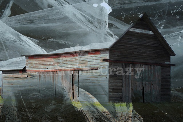 [collage_web[4].jpg]