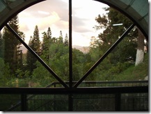 Cafeteria Window